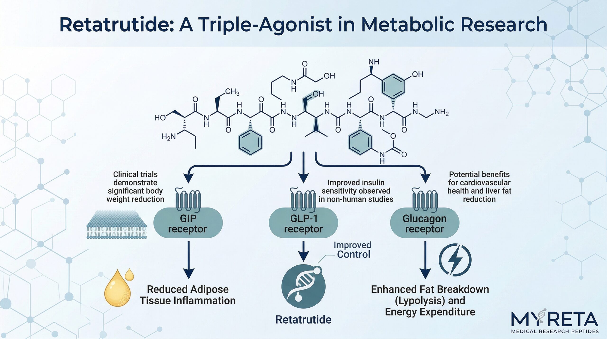 Retatrutide – What is Reta? – People who’ve seen the news about Phase 3 trial results wanting to learn more (informational)