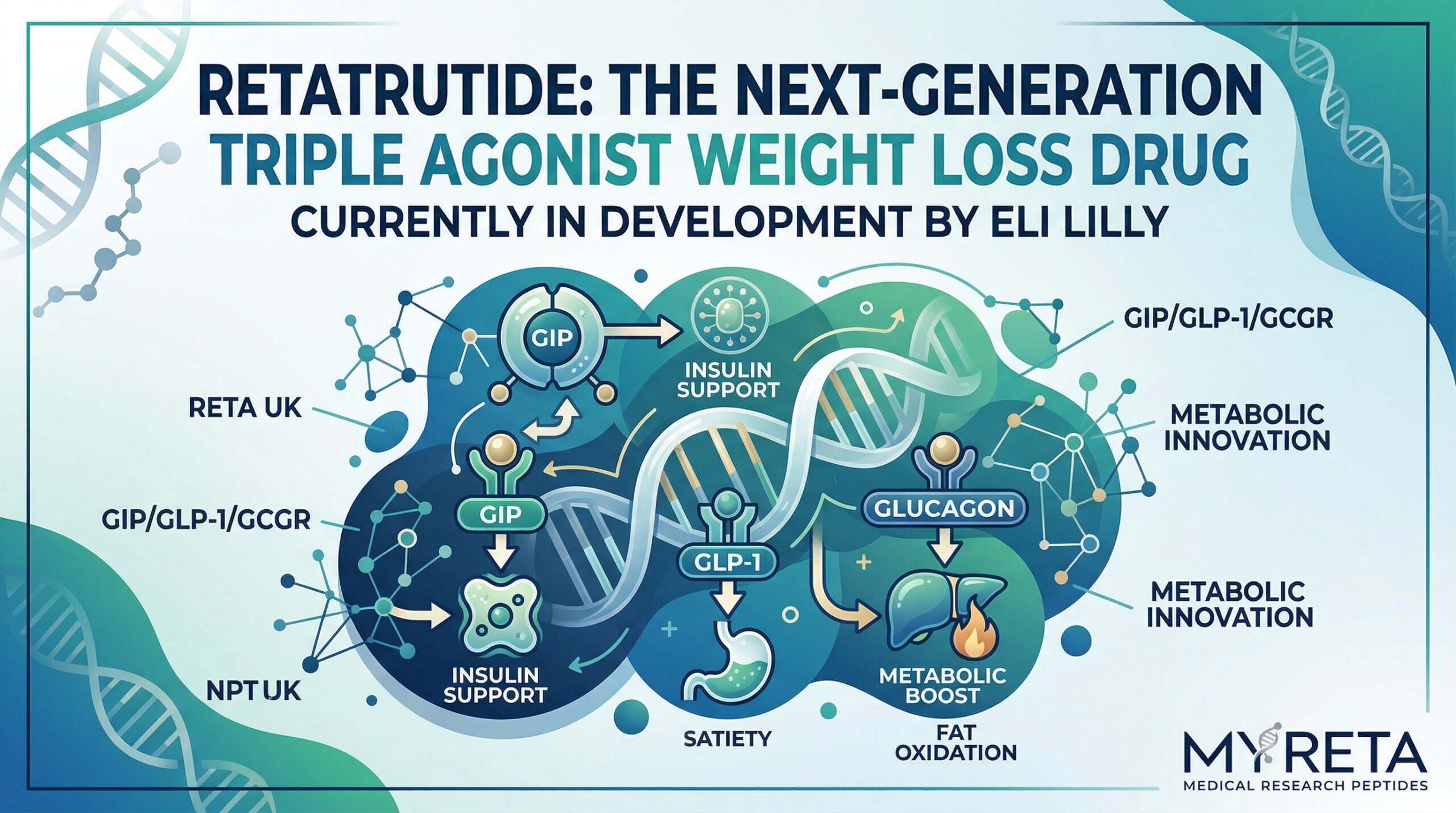 Retatrutide is a next-generation “triple agonist” weight loss drug currently in development by Eli Lilly